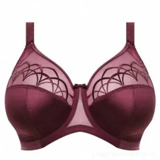 Elomi Cate BH, Cabernet (Bordeaux)
