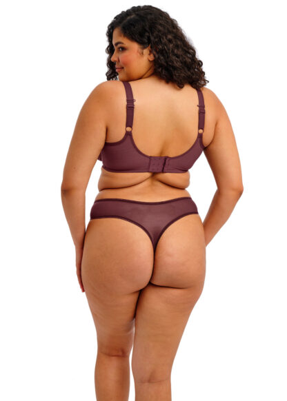 Elomi Matilda Thong trusse, Sugarplum - Billede 4