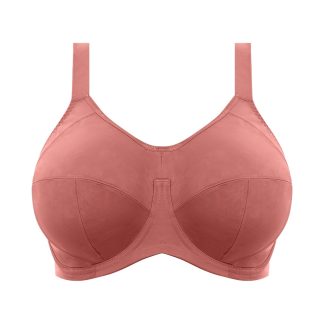 bf2f16885c04288873bb415ab226de4a